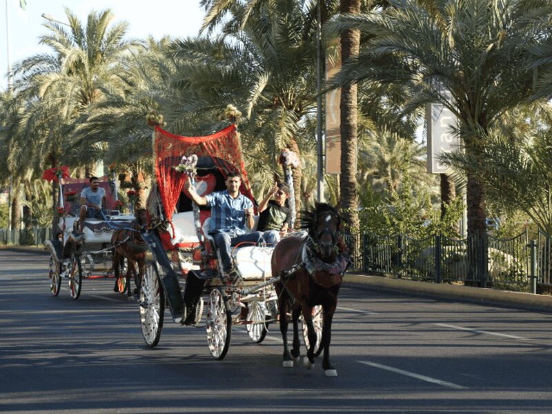 Aqaba Historical Tapestry