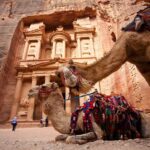 camel in petra