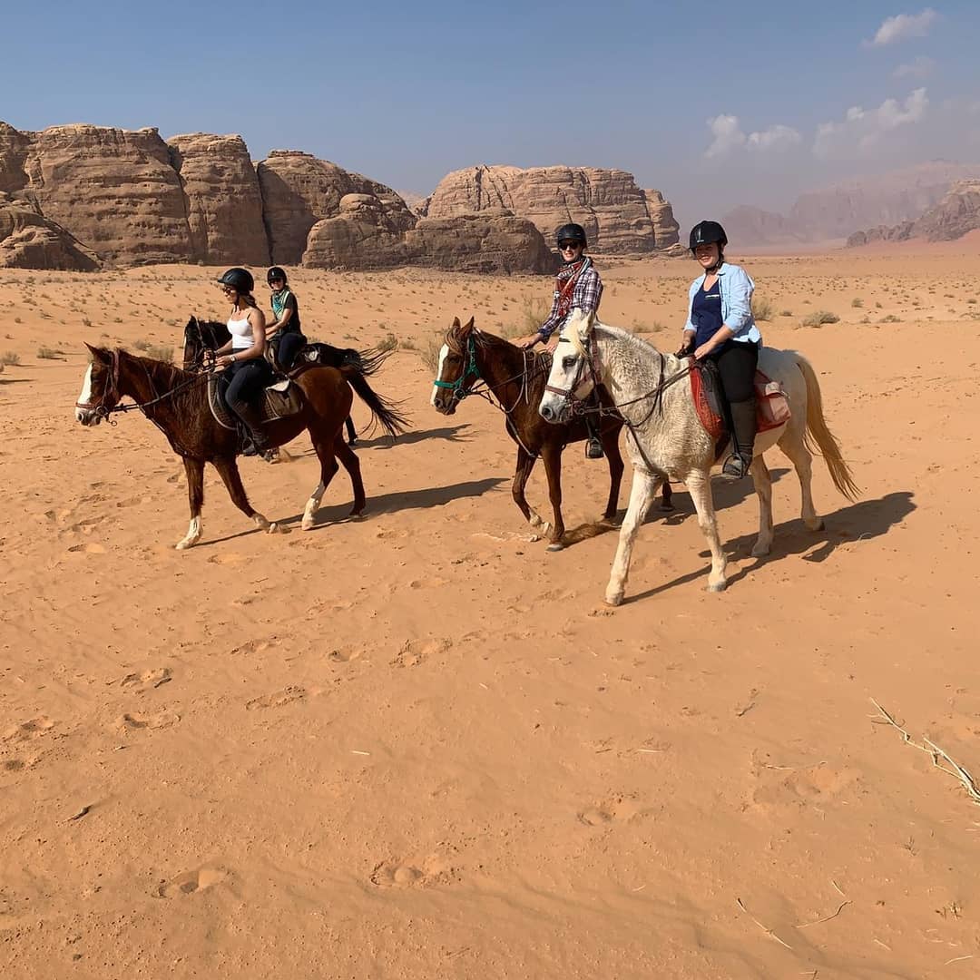 Horses in Wadi Rum