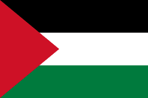 Palestine flag