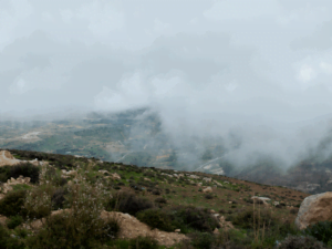 Dead Sea road