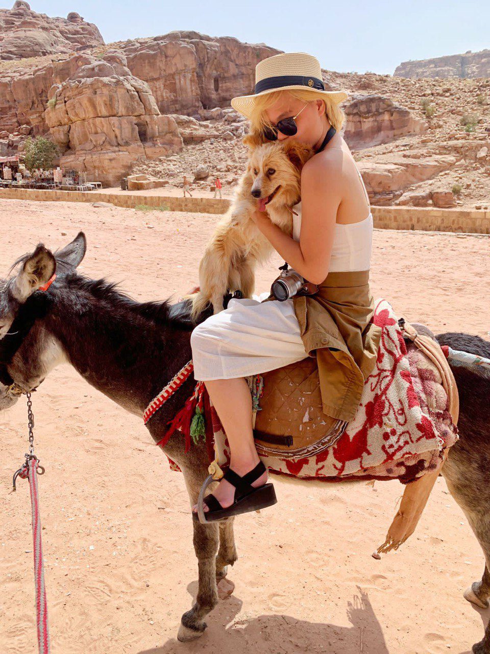 A donkey in Petra