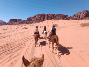 horses in wadi rum