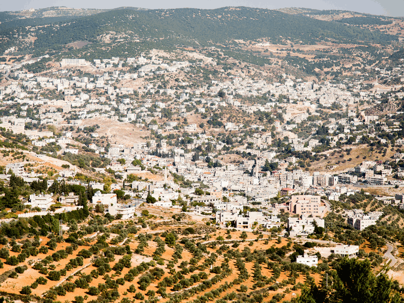 Ajloun forests 